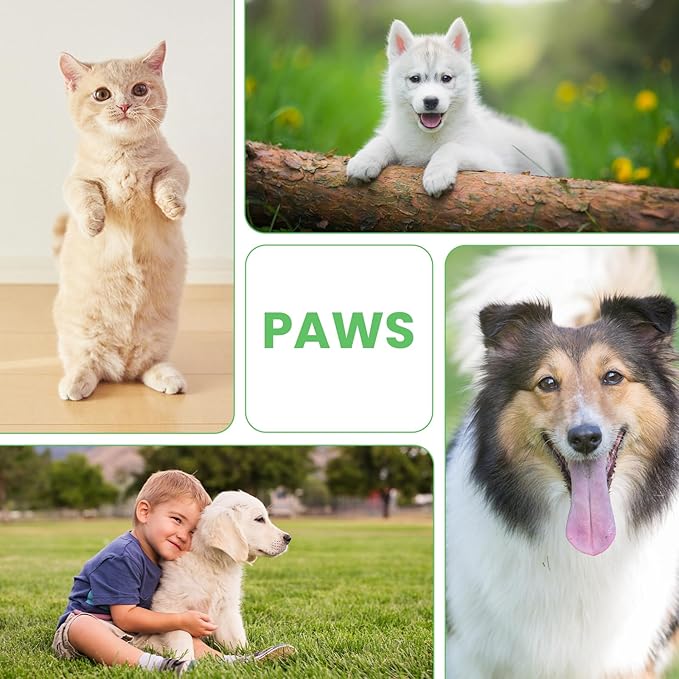Dog Paw Care Kit | Dog Paw Cleaner for Dogs & Cats (6.8oz) | Dandelion No Rinse Clean Paws Foaming Cleanser | Pet Paw Cleaner Foot Washer w/Natural Lick Safe Dog Paw Pad Blam Stick(2.4 oz)