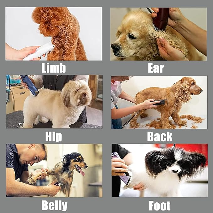 AIJALY 10 Blades Dog Grooming Blades Compatible with Andis/Wahl/Oster Pet Clippers AG AGC Ceramic Sharp Size-10, 1/16-Inch Cut Length (#10 Blade/1PC)