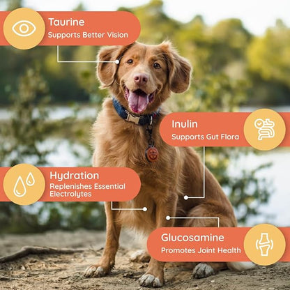 Petralyte Dog Electrolytes and Joint Supplement | Hydration Support for Dogs w/Glucosamine, Chondroitin & More | Electrolytes for Dogs with Prebiotics | for Chicken Lovers | 32 Packets