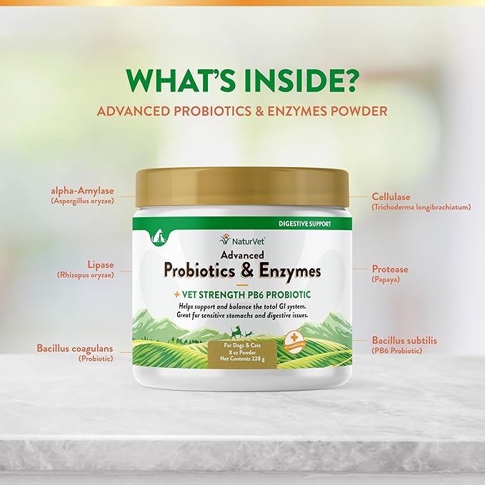 NaturVet  Advanced Probiotics & Enzymes - Plus Vet Strength PB6 Probiotic | Supports and Balances Pets with Sensitive Stomachs & Digestive Issues | for Dogs & Cats (8 oz)