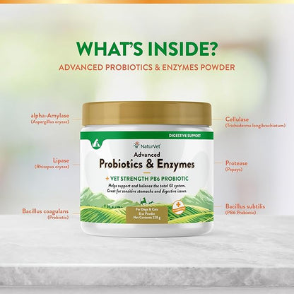 NaturVet  Advanced Probiotics & Enzymes - Plus Vet Strength PB6 Probiotic | Supports and Balances Pets with Sensitive Stomachs & Digestive Issues | for Dogs & Cats (8 oz)
