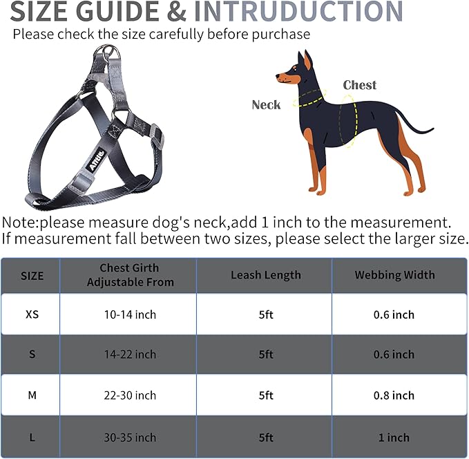 AIITLE No Pull Small Dog Harness and Leash Set- Escape Proof/Quick Fit Dog Halter Harness,Easy for Training Walking -Sturdy Buckle and Double D Ring -Puppy Harness for Small Dogs,Black-Grey Gradient S
