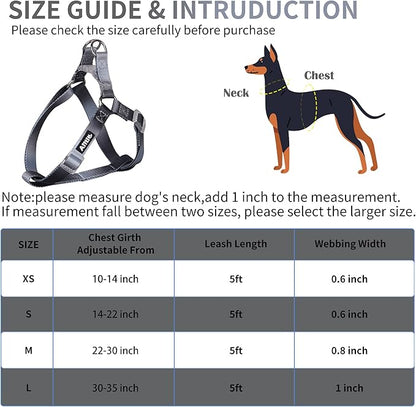 AIITLE No Pull Small Dog Harness and Leash Set- Escape Proof/Quick Fit Dog Halter Harness,Easy for Training Walking -Sturdy Buckle and Double D Ring -Puppy Harness for Small Dogs,Black-Grey Gradient S
