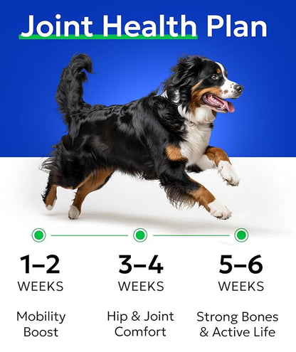 Bark&Spark Glucosamine Chondroitin Dog Hip & Joint Supplement - Joint Pain Relief - Hip & Joint Chews - Joint Support Large Small Breed - Senior Doggie Vitamin Pill Joint Health (120 Treats - Chicken)