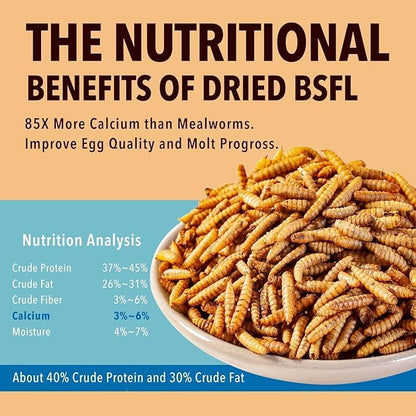 5LB Dried Black Soldier Fly Larvae Treat for Chicken More Calcium Than Mealworms,for Laying Hen,Wild Birds (5 Pound)