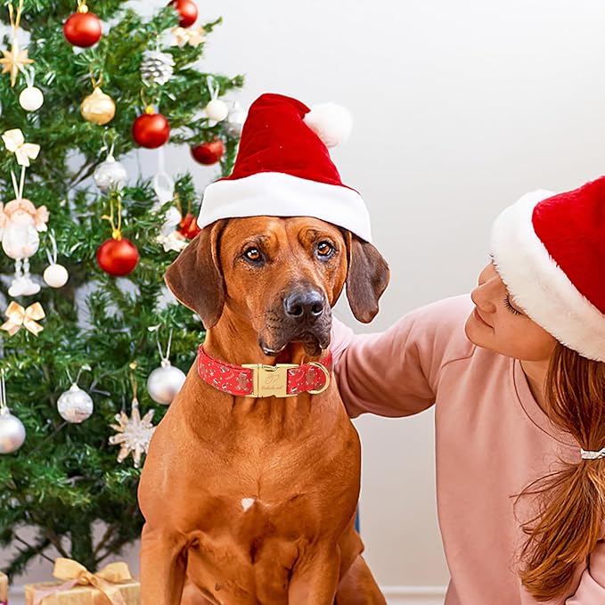 Christmas Dog Collars for Small Dog,Red Gingerbread Man Collar with Safety Metal Buckle Adjustable Puppy Collars for Medium Large Dog,Boy&Girl&Female Dog Gift,XS-8"-13"