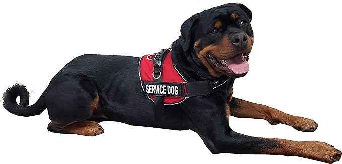 ActiveDogs Air-Tech Service Dog Vest Harness, Small Girth 19"-24" w/Handle, ADA Cards + Reflective Service Dog Patches - Red