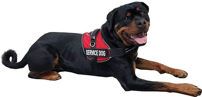 ActiveDogs Air-Tech Service Dog Vest Harness, Small Girth 19"-24" w/Handle, ADA Cards + Reflective Service Dog Patches - Red