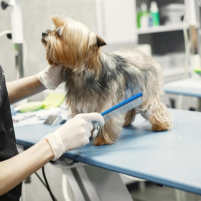 2 Pack Dog Combs with Stainless Steel Teeth Applicable to Cat Dog Comb Removing Tangles Easily Remove Dirt Grooming Anti-Slip Comfort Grip Handle ï¼_lueï¼