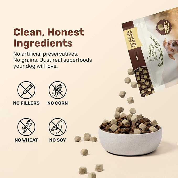 BADLANDS RANCH Superfood Nuggets- Premium, Freeze-Dried raw Dog Food Topper or Treat. Powerful Nutrient-Dense Ingredients. No Artificial additives. Duck and Kale Formula 8oz - 4pk Bundle