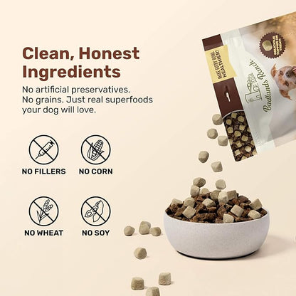 BADLANDS RANCH Superfood Nuggets- Premium, Freeze-Dried raw Dog Food Topper or Treat. Powerful Nutrient-Dense Ingredients. No Artificial additives. Duck and Kale Formula 8oz - 4pk Bundle