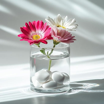 White Natural River Rocks, 2-3.5 Inch Decorative Stones for Plants, Garden, and Landscaping – 40LB, Ideal for Fish Tanks, Vases, Crafting, Home Decor, and Outdoor Landscaping