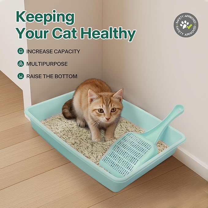 PAWISE Small Cat Litter Box, Kitten Litter Box Starter Kit, Low Entry Baby Kitten Training Litter Box with Scoop, Bowls,Cat Mouse Toy and Cat Ball Toy,First Catty Owner Essentials (Green)