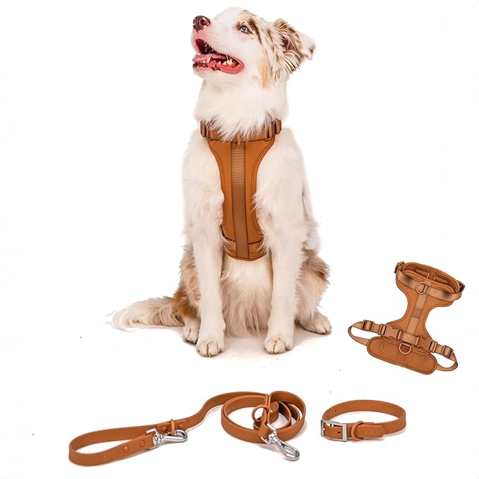 Dog Harness and Leash Set | BearBone No Pull Dog Harness and Waterproof Dog Collar and Leash Set | Heavy Duty Dog Harness, Leash and Collar | Small Dog Harness and Leash Set (Brown, Small)