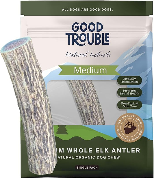 Good Trouble Pets Premium Elk Antlers for Medium Dogs - All-Natural, Shed Antler Chews for Dental Health & Calming - Durable Dog Bones for Aggressive Chewers - Cruelty-Free, North American Sourced