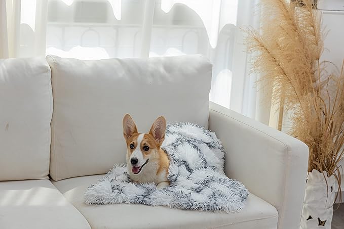 PJYuCien Fluffy Fleece Calming Pet Throw Blanket, Super Soft and Warm for Indoor Cats and Dogs, Small 16 * 24", Machine Washable, Grey Diamond Pattern, White Puppy Blanket