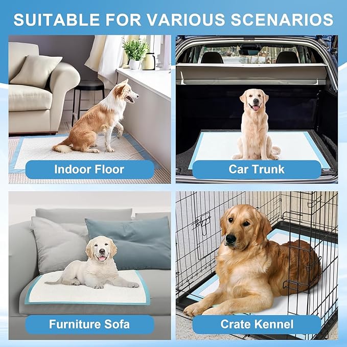 Puppy Pads Extra Large 32"x40" 40 Count, Pee Pads for Dogs & Cats, Disposable Thicken Pet Training Pads for Doggie Rabbits, Incontinence Underpads Ultra Absorbent & Quick-Dry, Leakproof Potty Pad