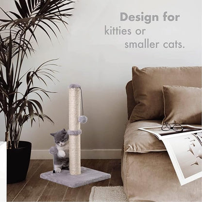 MECOOL Cat Scratching Post Premium Basics Kitten Scratcher Sisal Scratch Posts with Hanging Ball 22" for Kittens or Smaller Cats (22 inches for Kitten, Gray)