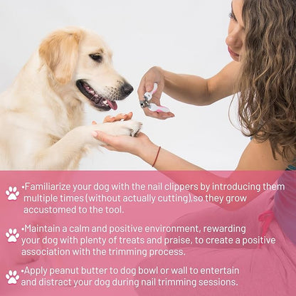 Dog Grooming Scissors with Safety Round Tip Pet Grooming scissors Kit Dog Shears kit Incudes Thinning Curved Straight Grooming Scissors Nail Clippers Nail File and Comb for dogs cats