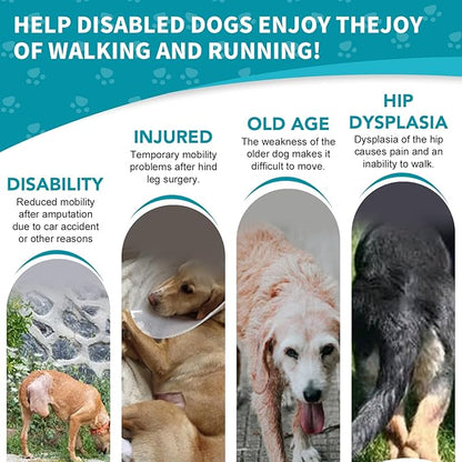 Dog Wheelchair for Back Legs with Pet Traction Rope, Small Wheelchair for Dogs with Disabled Hind Legs Walking Adjustable Dog Carts with Heavy Duty Wheels