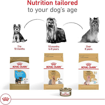 Royal Canin Yorkshire Terrier Adult 8+ Dry Dog Food for Aging Dogs