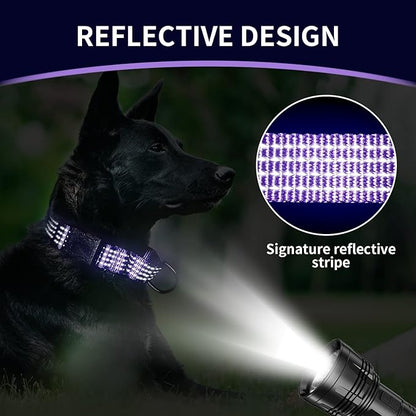 Martingale Collar for Training Dogs. Adjustable Reflective Dog Collars with Buckle- Prevents Slipping Out, for Medium Large XL Dogs. Helps with Strong pullers(S, Purple)