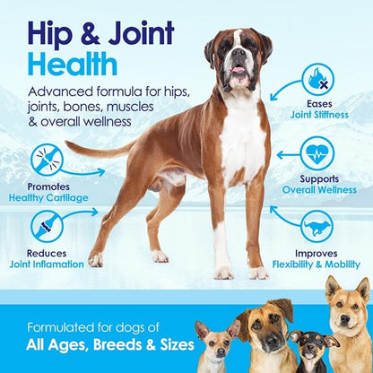 Advanced Glucosamine Powder for Dogs for Arthritis Pain Relief & Hip Dysplasia, Supports Joint Health & Reduces Inflammation with Glucosamine, Chondroitin, MSM & Coral Calcium, 6oz Powder