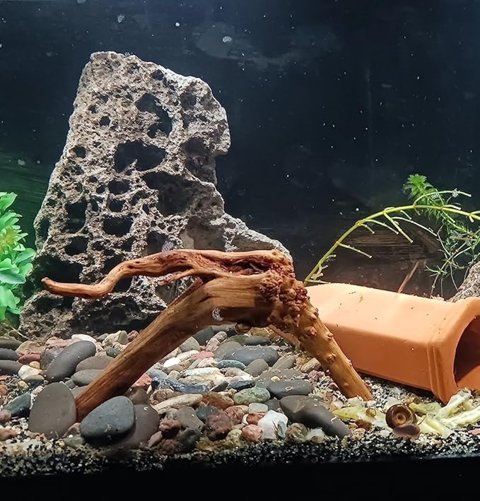 10pcs Natural Small Spiderwood Driftwood for Aquarium Decor Aquarium Driftwood Freshwater Reptile Driftwood Aquarium spiderwood (spiderwood 5-6inch 10pcs)