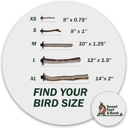 Sweet Feet and Beak Superoost Manzanita Pumice Pedicure Perch- Easy to Install Bird Cage Accessories for Healthy Feet, Nails and Beak - Natural Bird Perches Imitates Birds' Life in The Wild - XS 8"