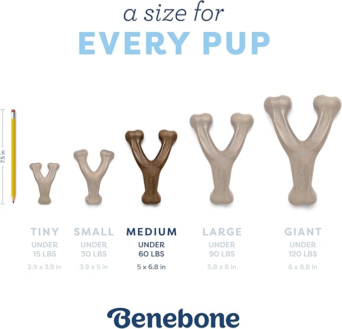 Benebone Puppy Fishbone Dog Chew Toys, Softer for Modest Chewers, Made in USA
