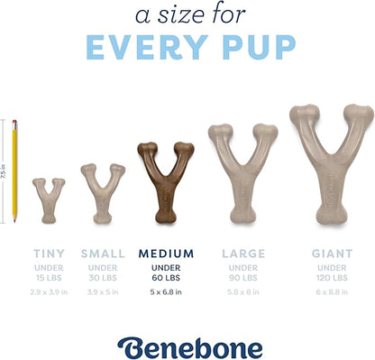 Benebone Puppy Fishbone Dog Chew Toys, Softer for Modest Chewers, Made in USA