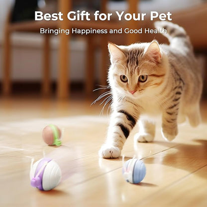 Cheerble Interactive Cat Toy for Indoor Cats, Wicked Snail, [2024 Upgraded] Kitten Toys, Automatic Cat Toys with LED Lights, DC Rechargeable Moving Toy, Smart Sensing Electric Catnip Toy (White)