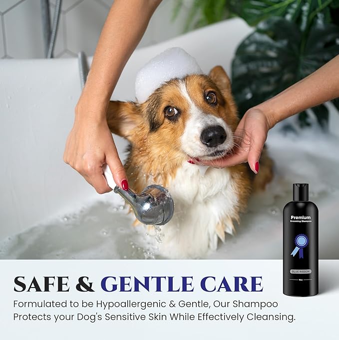 605Products - Natural Dog Shampoo for Itchy and Sensitive Skin, Puppy Shampoo and Odor Eliminator for Smelly Dogs and Puppies, Pet Shampoo and Deodorizer - Dog Bath Supplies (Blue Ribbon)