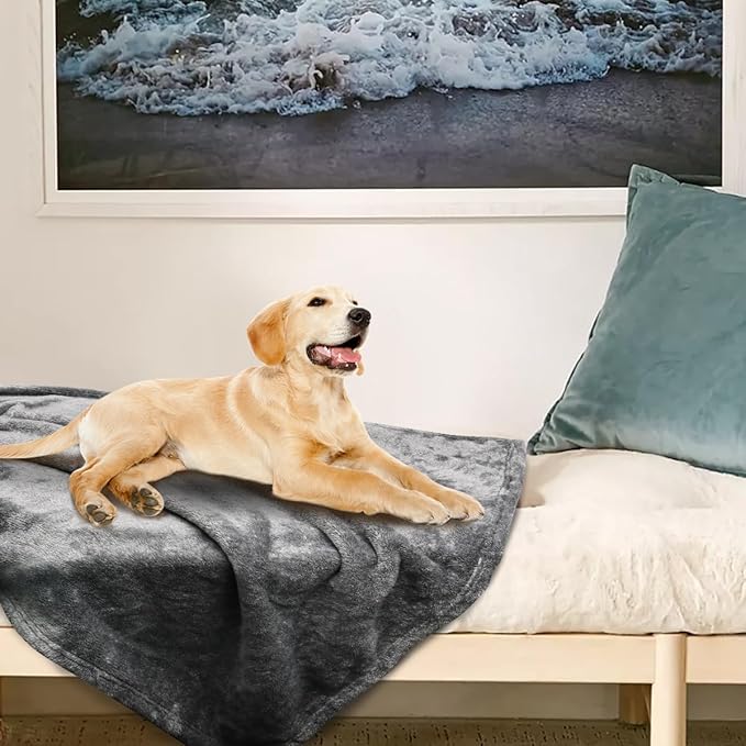 Onarway Dog Blanket Washable for Puppy: 4 Packs Dog Blankets 28_20 - Fluffy Soft Small Throw for Cat Puppy Kitten Dogs - Fleece Pet Blankets for Bed Sofa Car and Indoor - Grey and Khaki