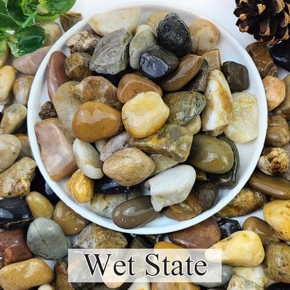 5lbs Aquarium Rocks, 5/8" Natural Mixed Pebbles for Plants Decorative Polished River Rocks for Fish Tank, Landscaping, Gardening, Flower Pots, Vase Fillers, Indoor Water Fountains