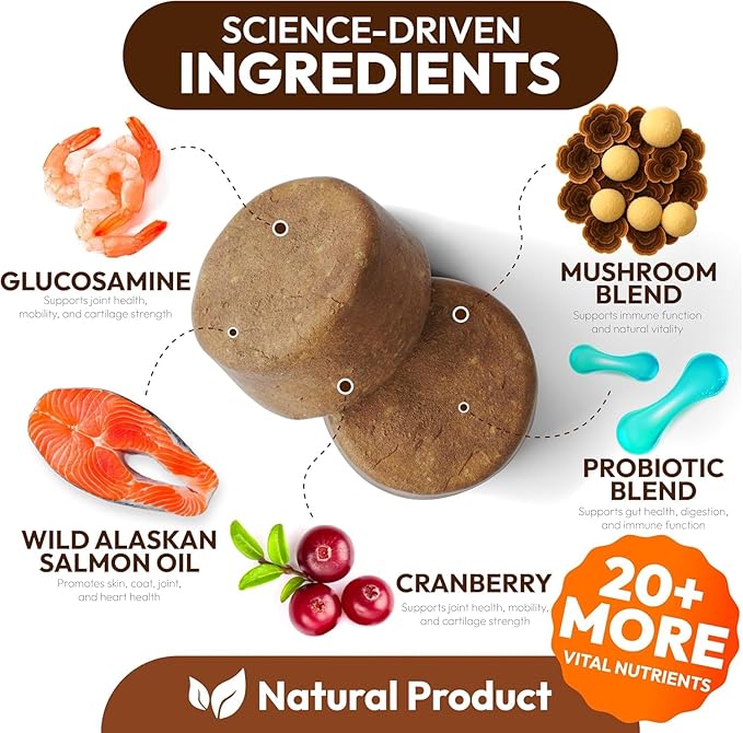 Turkey Tail Mushroom for Dogs - 170 Chews - Lion’s Mane - Shiitake - Reishi - Buddy Immune Support Guard - Mushroom Supplement for Dogs Lumps and Bumps Glucosamine, Health Vitamins Multivitamin