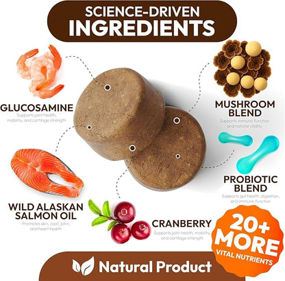 Turkey Tail Mushroom for Dogs - 170 Chews - Lion’s Mane - Shiitake - Reishi - Buddy Immune Support Guard - Mushroom Supplement for Dogs Lumps and Bumps Glucosamine, Health Vitamins Multivitamin