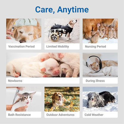 Pet Grooming Glove Wipes, Dog and Cat Cleaning Wipes for Fur, Paws, Butt, Puppy and Dog wet wipes, Hypoallergenic Deodorizing with Natural Sunshine Oat Extract, On-the-Go Freshness, Fast clean