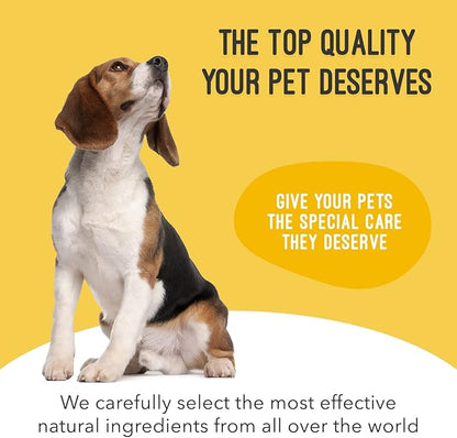 Dog Supplement for Joint Inflammation & Arthritis, Naturally Potent Dog Joint Care, Antioxidant Formula with MSM, Chondroitin, Vitamin C, & Glucosamine for Dogs, 32 fl oz