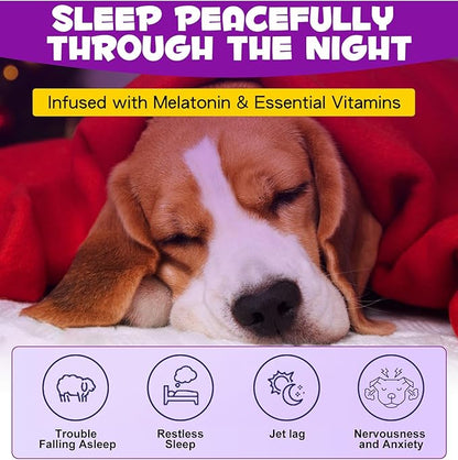 Dog Melatonin - Melatonin for Dogs - Dog Melatonin for Small Dogs - Cat Melatonin - Anxiety & Stress Relief - Promote Relaxation & Deep Sleep for Cat & Dog