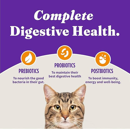 Halo Holistic Cage Free Chicken Cat Food, Healthy Grains Dry Cat Food, Complete Digestive Health, Kibble for Adult Cats, 3 lb Bag