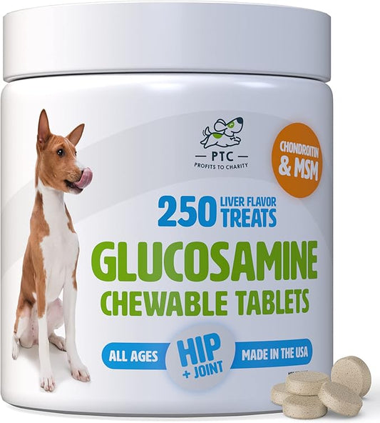 Glucosamine for Dogs with Chondroitin and MSM -Hip and Joint Supplement for Dog Mobility Support and Arthritis Pain Relief - 250 Chewable Tablet Treats