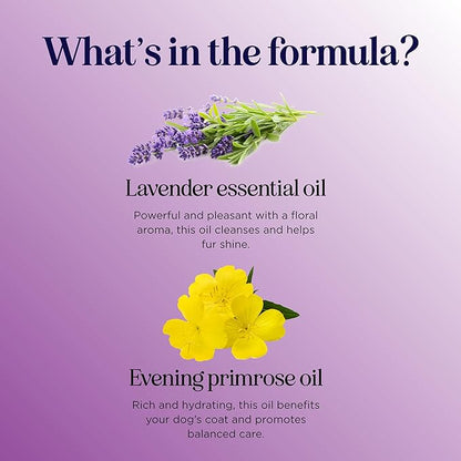 Lavender Oil Dog Deodorizing Spray - Dog Spray for Smelly Dogs and Puppies and Dog Calming Spray with Lavender Essential Oil - Lightly Scented Dog Deodorizer for Smelly Dogs and Dog Essentials