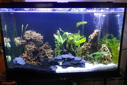 Natural Slate Stone 3 to 5 Inches - USA Sourced and Packaged for Aquascaping Aquariums, Terrariums, Paludariums, Reptiles, Wargaming, Model Railroads, Miniature Gardens, Mosaic Art (12lbs)