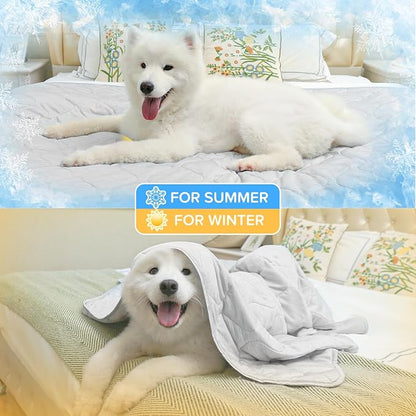 Rywell Cooling Mat for Dogs,Dog Cooling Mat Q-Max>0.5, Durable&Versatile with Cooling&Soft Surfaces for All Seasons,Protect Sofa Bed from Scratches&Chewing,40 * 60IN Washable Dog Blanket
