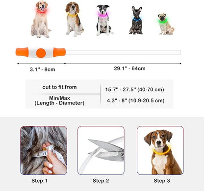Light Up Dog Collars, Single-Color USB Rechargeable Dlitk LED Dog Collar 1 Count, TPU Cuttable Size Glow Collar for Dogs, Dog Collar Light, Please Do Not Use Fast Charging (Orange)