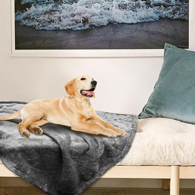 Onarway Dog Blanket Washable for Bed: Dog Blankets 78”x70” - Fluffy Soft Large Throw for Cat Puppy Kitten Dogs - Fleece Pet Blankets for Crate Couch Car and Indoor - Grey