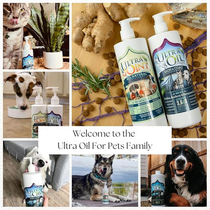 Ultra Joint - Liquid Joint Support Supplement for Dogs with Glucosamine & Chondroitin - Pain Relief from Arthritis & Inflammation (16 oz)