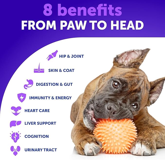 20 in 1 Dog Multivitamin with Glucosamine - Chewable Dog Vitamins and Supplements - Senior & Puppy Multivitamin Chews for Pet Hip & Joint Support, Immunity, Mobility, Skin, Digestion - 70 Soft Treats