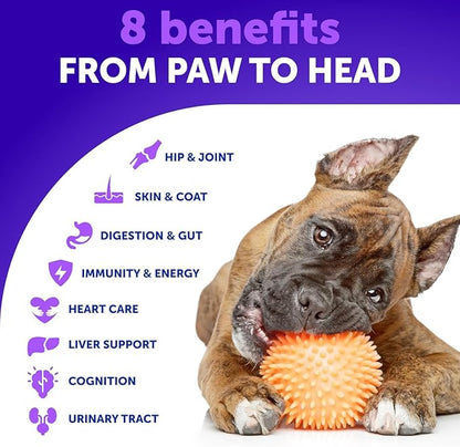 20 in 1 Dog Multivitamin with Glucosamine - Chewable Dog Vitamins and Supplements - Senior & Puppy Multivitamin Chews for Pet Hip & Joint Support, Immunity, Mobility, Skin, Digestion - 70 Soft Treats